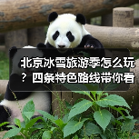 北京冰雪旅游季怎么玩？四条特色路线带你看遍冬日魅力（图4）