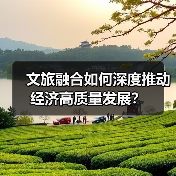 文旅融合如何深度推动经济高质量发展？（图3）
