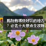 揭阳有哪些好玩的地方？必去十大景点全攻略（图4）