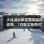 大连湖北新增离境退税政策,7月起实施有何影响?(图4) 大连湖北新增离境退税政策,7月起实施有何影响?(图4)