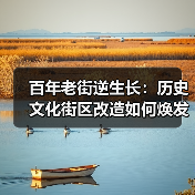百年老街逆生长:历史文化街区改造如何焕发新生(图2) 百年老街逆生长:历史文化街区改造如何焕发新生(图2)