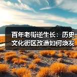 百年老街逆生长:历史文化街区改造如何焕发新生(图3) 百年老街逆生长:历史文化街区改造如何焕发新生(图3)