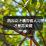 酒店设计顺应客人习惯才是赢关键（图3）