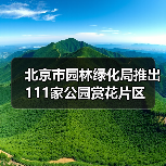 北京市园林绿化局推出111家公园赏花片区（图3）