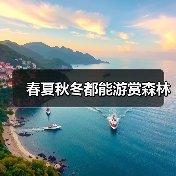 春夏秋冬都能游赏森林