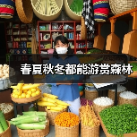春夏秋冬都能游赏森林（图3）