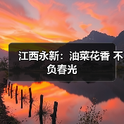 江西永新：油菜花香 不负春光（图2）
