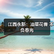 江西永新：油菜花香 不负春光（图3）