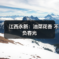 江西永新：油菜花香 不负春光（图4）