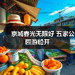京城春光无限好 五家公园游船开 京城春光无限好 五家公园游船开