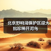 北京野鸭湖保护区迎大批珍稀开河鸟（图2）