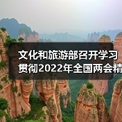 文化和旅游部召开学习贯彻2022年全国两会精神会议（图3）