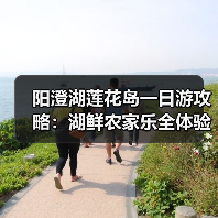 阳澄湖莲花岛一日游攻略：湖鲜农家乐全体验（图2）
