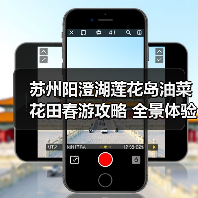 苏州阳澄湖莲花岛油菜花田春游攻略 全景体验（图1）