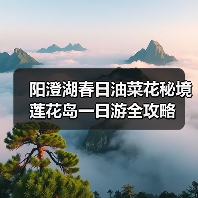 阳澄湖春日油菜花秘境 莲花岛一日游全攻略（图4）