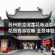 苏州阳澄湖莲花岛油菜花田春游攻略 全景体验（图2）
