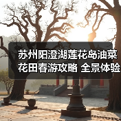 苏州阳澄湖莲花岛油菜花田春游攻略 全景体验（图3）