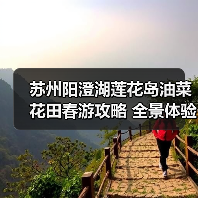 苏州阳澄湖莲花岛油菜花田春游攻略 全景体验（图4）