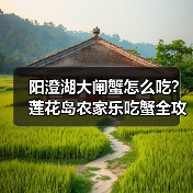 阳澄湖大闸蟹怎么吃？莲花岛农家乐吃蟹全攻略（图2）