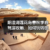 阳澄湖莲花岛春秋季自驾游攻略，如何玩转田园风光？（图4）