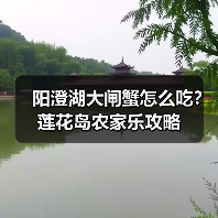 阳澄湖大闸蟹怎么吃?莲花岛农家乐攻略(图3) 阳澄湖大闸蟹怎么吃?莲花岛农家乐攻略(图3)