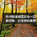 苏州阳澄湖莲花岛一日游攻略:必体验的美景美食与文化之旅(图2) 苏州阳澄湖莲花岛一日游攻略:必体验的美景美食与文化之旅(图2)