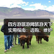 四方游旅游网旅游天下实用指南:选购、维护与常见问题解析2026(图2) 四方游旅游网旅游天下实用指南:选购、维护与常见问题解析2026(图2)