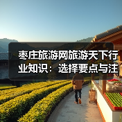 枣庄旅游网旅游天下行业知识：选择要点与注意事项2026（图3）