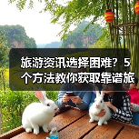 旅游资讯选择困难？5个方法教你获取靠谱旅游信息