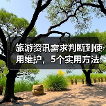 旅游资讯需求判断到使用维护，5个实用方法让你旅行不踩坑（图3）